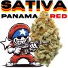 [THCa FLOWER] Panama Red – 1g