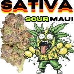 THCA SOURMAUI