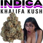khalifakush