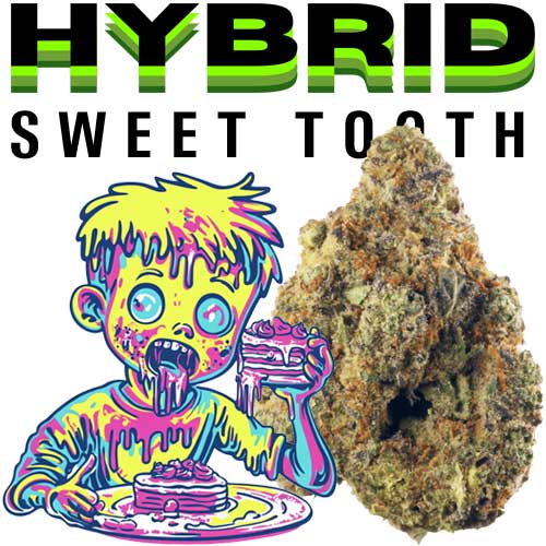 THCA SWEETTOOTH