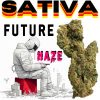 [THCa 420 SALE] Future Haze – 1/8 Oz - ☢️ CALI EXOTICS ☢️