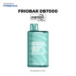 FRIOBAR DB7000 Strawberry Kiwi 800x800