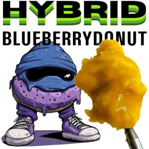 budder blueberrydonut