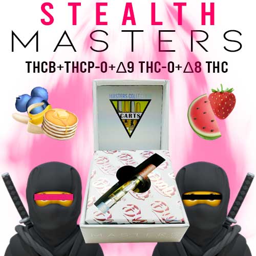 stealthmasters strawatermelon&pancakes