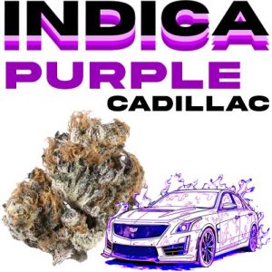 PURPLECADILLAC