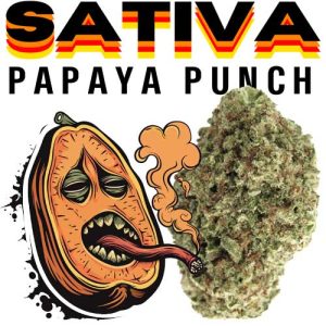THCA PAPAYAPUNCH (1)