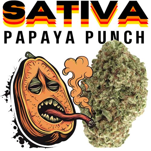 THCA PAPAYAPUNCH (1)