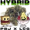 [THCa FLOWER] PBJ x LCG – 1g