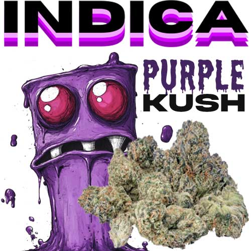 PURPLEKUSH THCA