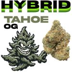 670ebe78 65ef 4b65 8e26 b9498a387018