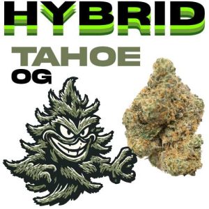 670ebe78 65ef 4b65 8e26 b9498a387018