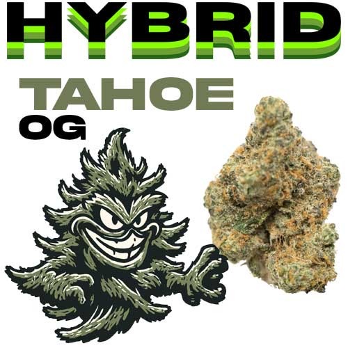 670ebe78 65ef 4b65 8e26 b9498a387018