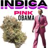 [THCa FLOWER] Pink Obama – 1g 🍃 value smalls 🍃