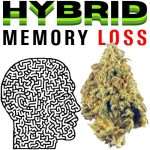MEMORYLOSS