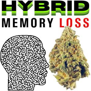 MEMORYLOSS