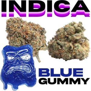 a2c84143 f451 4f2f a261 99a27d349f67