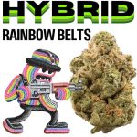 rainbowbelts