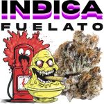 thca fuelato