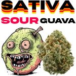 thca sourguava