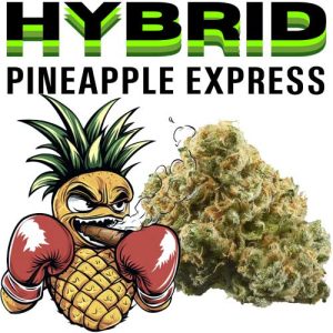pinex