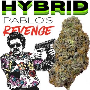 thca pablosrevenge