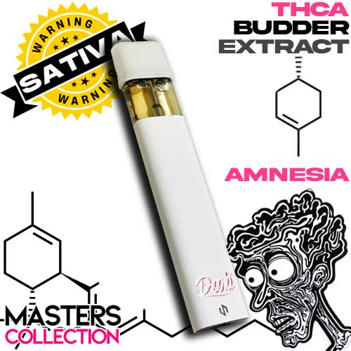 AMNESIA1GDISPO