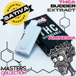 AMNESIA2GDISPO