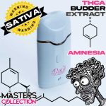 AMNESIA3GDISPO