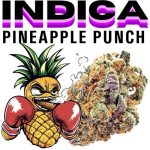 PINEAPPLEPUNCH