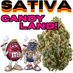 candylandy